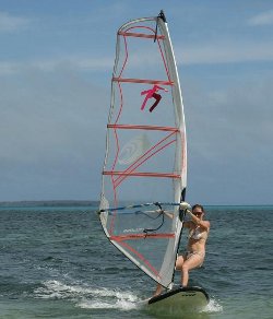 Windsurfing in Tonga