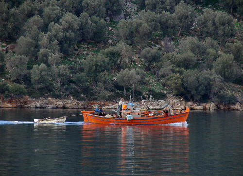Fishing Boat near Mt. Pelios